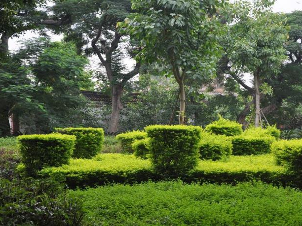 公司園林綠化修剪養護